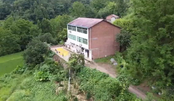 《服务的力量》-五月天伊人久久久久农机收割机微视频